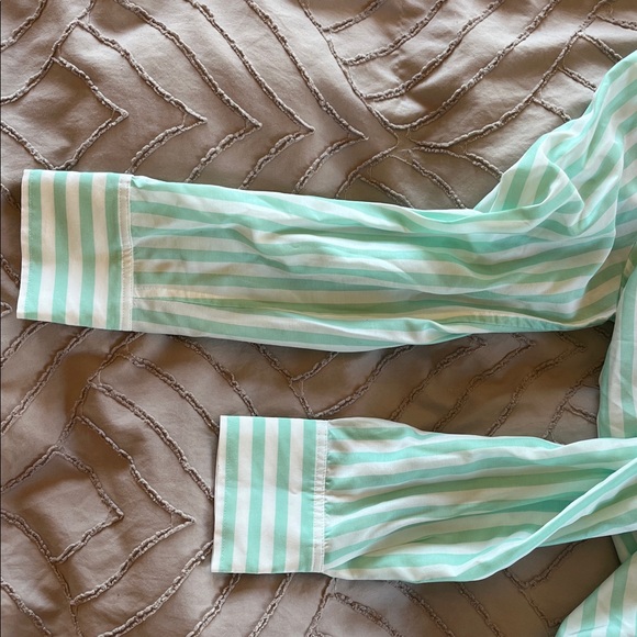 AYR Mint Green Striped Button-Down Shirt - Picture 7 of 7